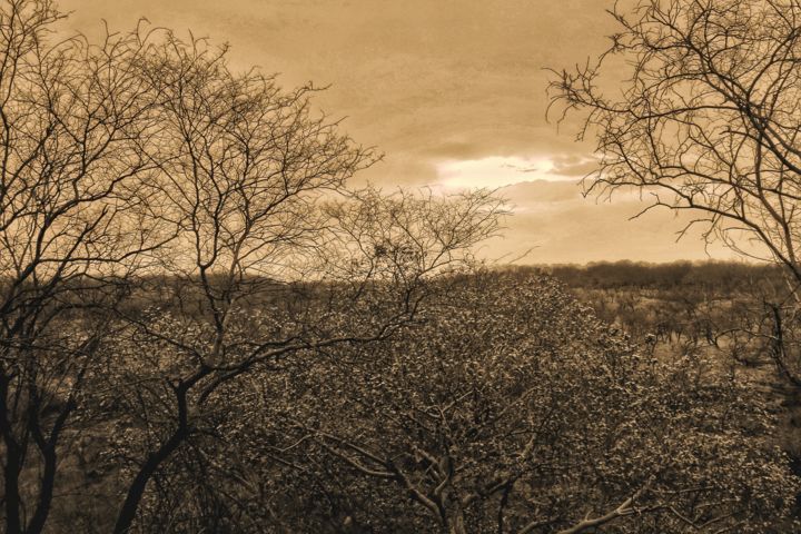 Photography titled "MTT 6753.jpeg" by Mtt, Original Artwork