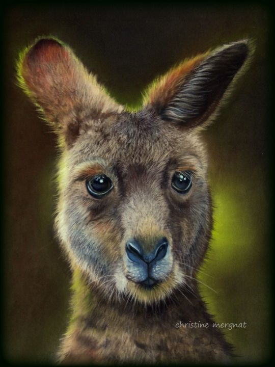 绘画 标题为“australian guy” 由Christine Mergnat, 原创艺术品, 粉彩