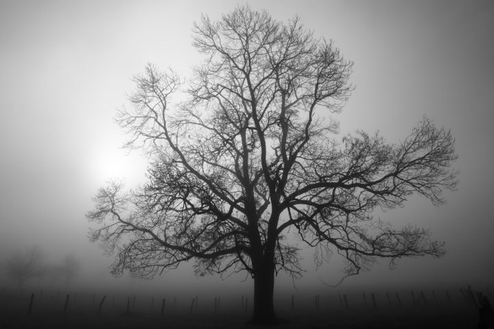 Photography titled "Apparition" by Jrlonghi Photographie, Original Artwork