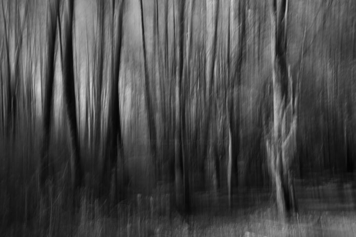 Photography titled "Marais de Saône, sé…" by Jrlonghi Photographie, Original Artwork