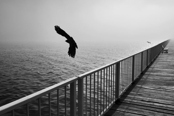 Photography titled "Two" by Sorin Marius Ion, Original Artwork, Non Manipulated Photography