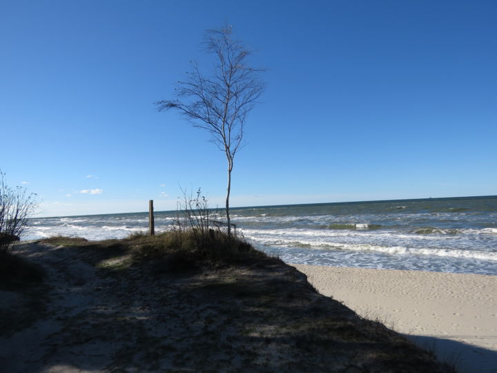 Fotografia zatytułowany „Solitude” autorstwa Lecielbleu, Oryginalna praca