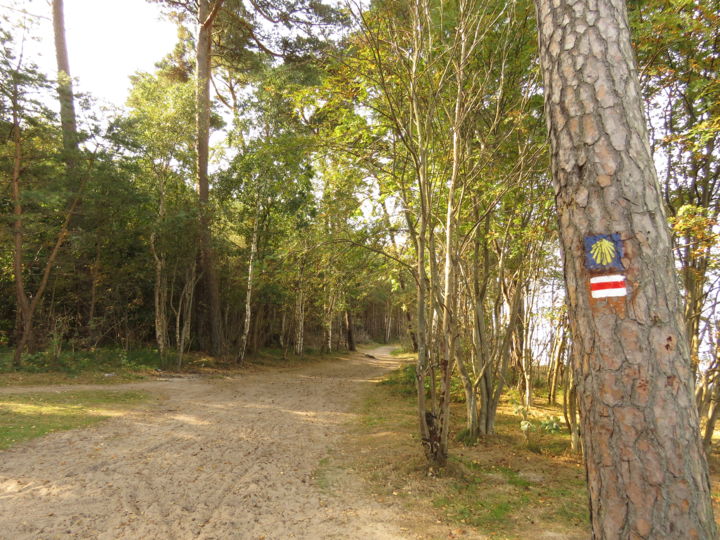 Fotografia zatytułowany „Route de saint jacq…” autorstwa Lecielbleu, Oryginalna praca