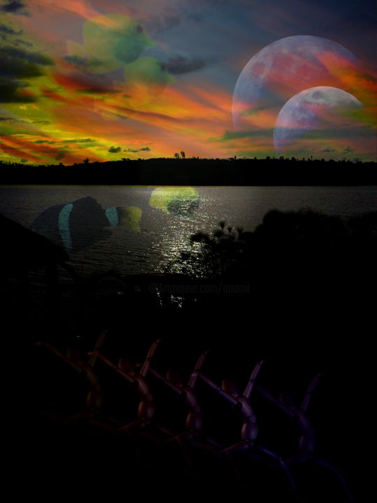 Arts numériques intitulée "L’odyssée II" par Eva-Jo, Œuvre d'art originale, Photo montage