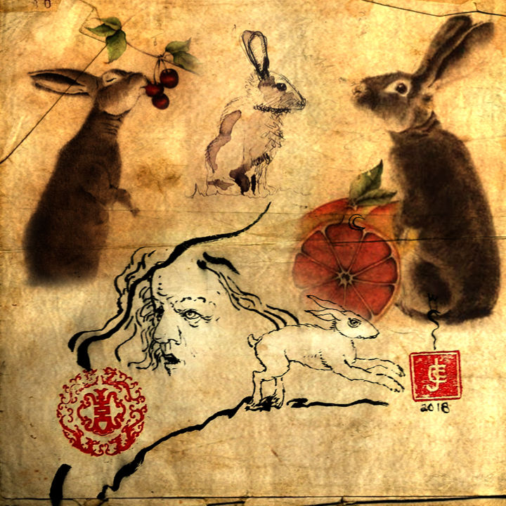 Digitale Kunst getiteld "lapin" door Coenegracht Jean Claude, Origineel Kunstwerk