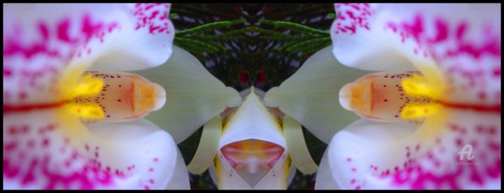 Photography titled "Esprit Chien floral…" by Miroir Planétaire Blanc, Original Artwork, Manipulated Photography