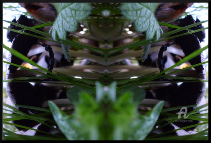 Photography titled "araignée Gardienne…" by Miroir Planétaire Blanc, Original Artwork, Manipulated Photography