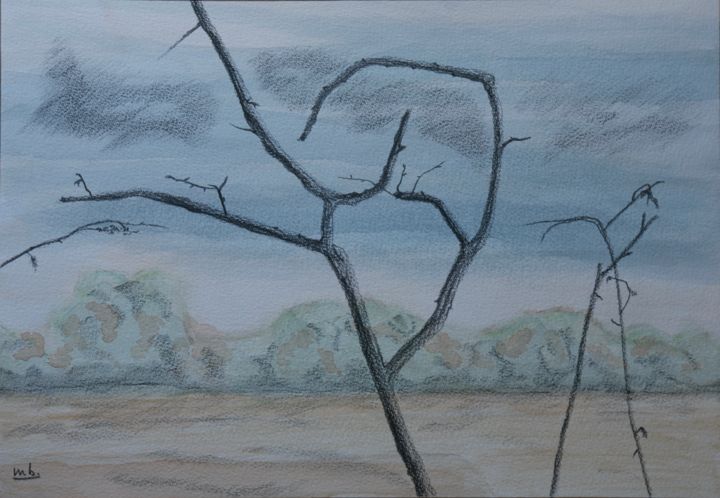 TERRESTRE 2 Drawing, 11x15.8 in