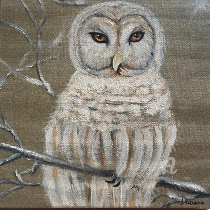 Pittura intitolato "Hibou-blanche" da Daciana, Opera d'arte originale, Olio