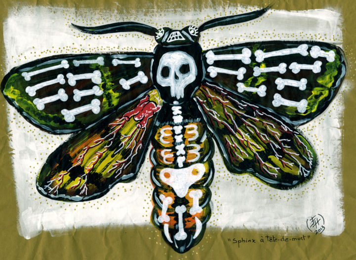 Papillon Sphinx à tête de mort 图画, 11.8x15.8 in