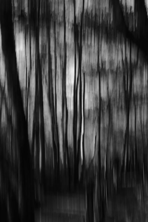 Photography titled "Resonance" by Jrlonghi Photographie, Original Artwork