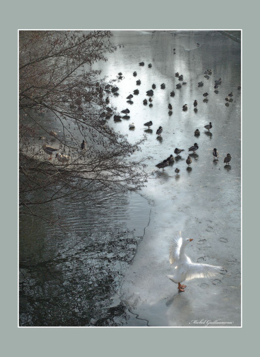 Photography titled "Reveil matinal" by Michel Guillaumeau, Original Artwork, Digital Photography