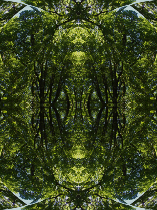 Digital Arts titled "Forest Abstract 20" by Ken Grzesik, Original Artwork, Digital Painting