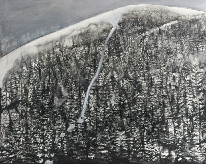 图画 标题为“Summit” 由Irena Luse, 原创艺术品, 铅笔