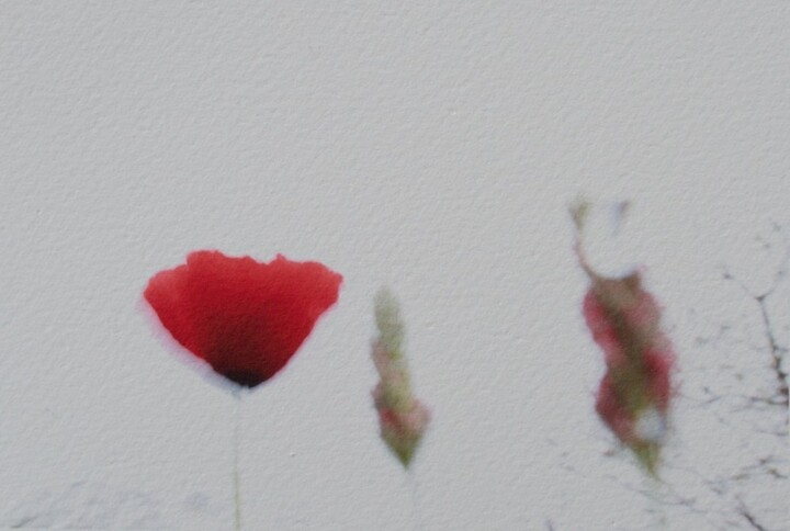 Photographie intitulée "Popii 36/18 0x4877B…" par Éric Petr, Œuvre d'art originale, Photographie non manipulée