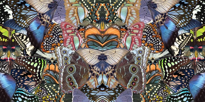 Flight Delight Printmaking, 33x66 in