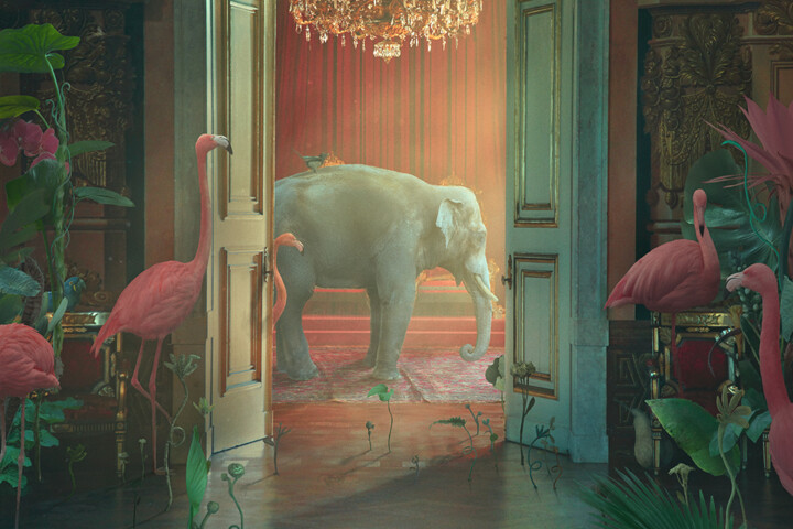 数字艺术 标题为“Jungle Nights” 由Nikolina Petolas, 原创艺术品, 操纵摄影