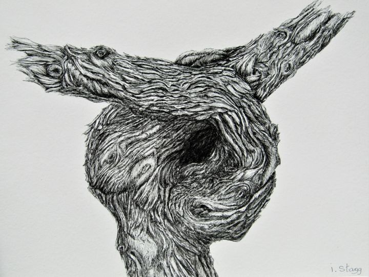 Drawing titled "Vieux cep/ Old vine" by Isabelle Stagg, Original Artwork, Ink