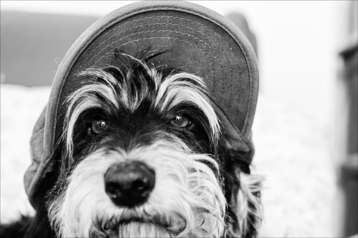 Fotografie getiteld "Joy" door Nadia D'Agaro, Origineel Kunstwerk