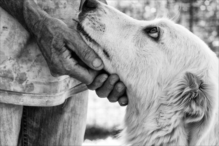 Fotografie getiteld "Bianca" door Nadia D'Agaro, Origineel Kunstwerk