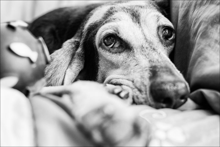 Fotografie getiteld "Gioia" door Nadia D'Agaro, Origineel Kunstwerk