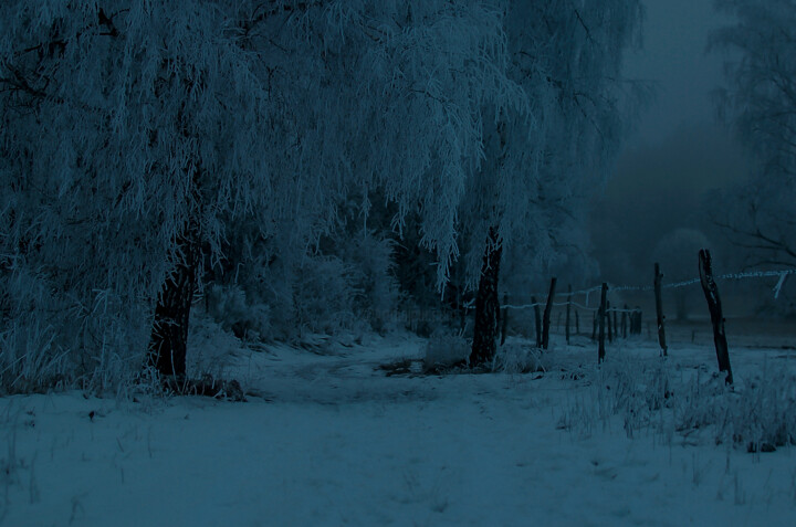 Photography titled "chemin obscure" by Pascal Pierre, Original Artwork