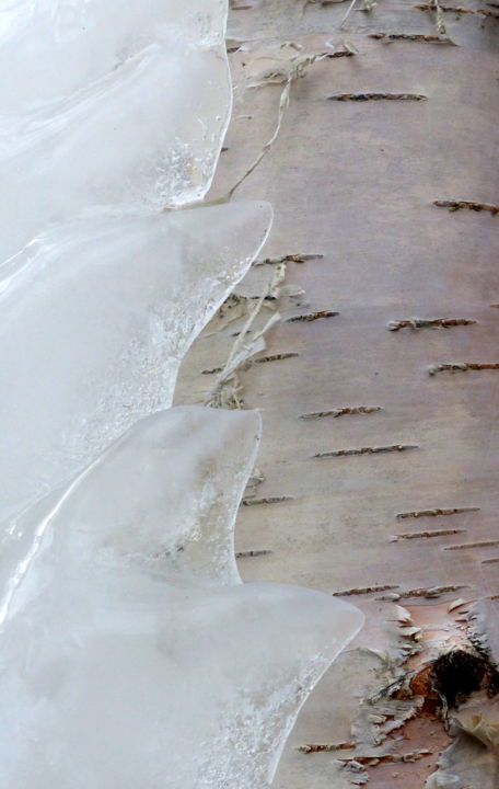 Photography titled "vague glacée sur bo…" by Myriam Wetzstein, Original Artwork, Digital Photography Mounted on Other rigid…