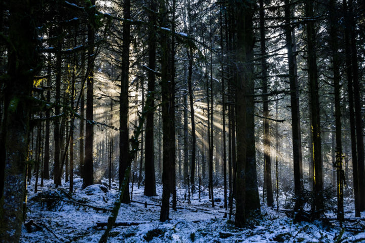 Photography titled "Rayonnement" by Fender Photographie, Original Artwork