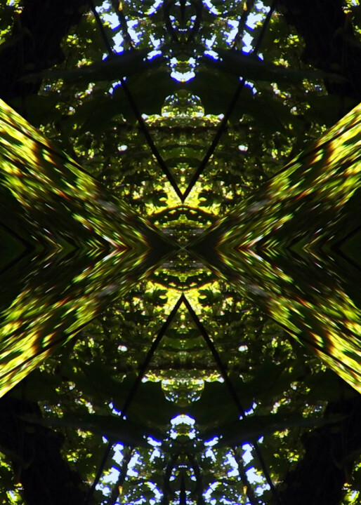 Additional views 2