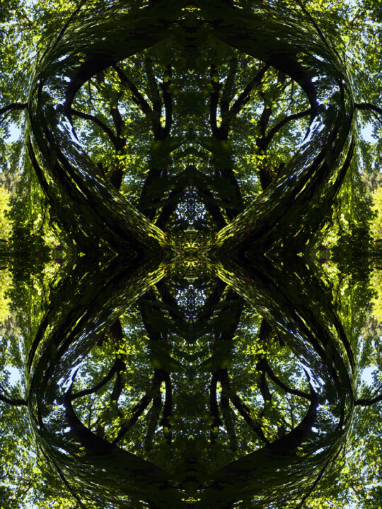 Digital Arts titled "Forest Abstract 36" by Ken Grzesik, Original Artwork, Digital Painting