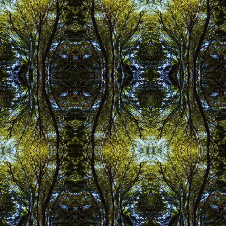 Digital Arts titled "Forest Abstract 37" by Ken Grzesik, Original Artwork, Digital Painting