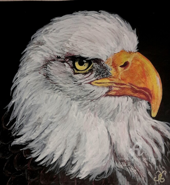 Eagle 图画, 8.7x8.7 in