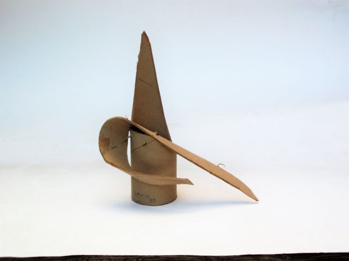 Sculpture intitulée "Sculpture abstraite…" par Servin, Œuvre d'art originale, Carton