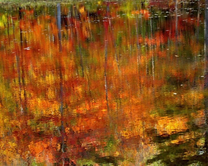 Photography titled "New Hampshire Fall…" by Bavosi Photoart, Original Artwork, Digital Photography