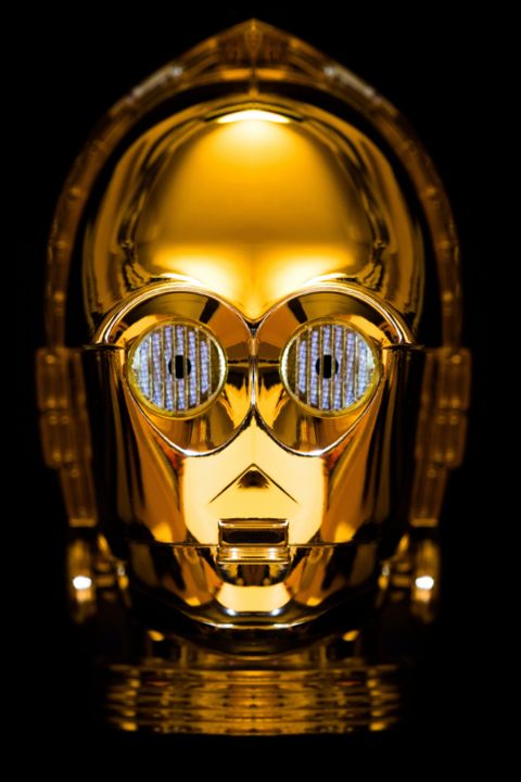 Golden Boy 摄影, 23.6x15.8 in