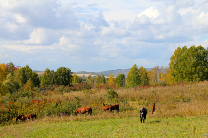 Photography titled "Autumn Walk" by Sergei Smv, Original Artwork