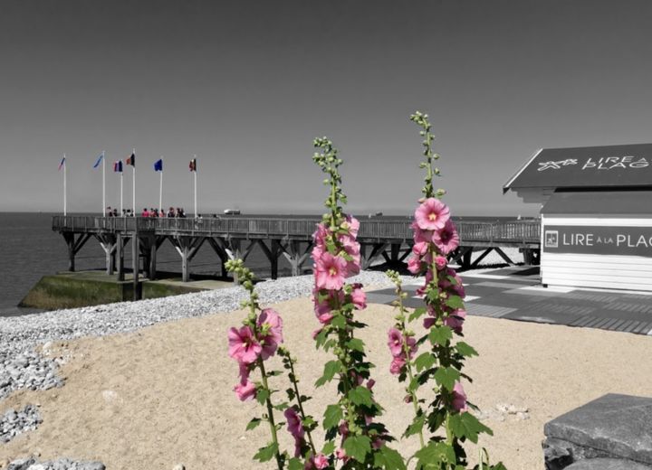 Lire à la plage