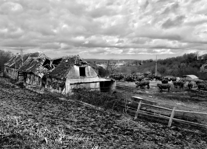 La ferme délabrée