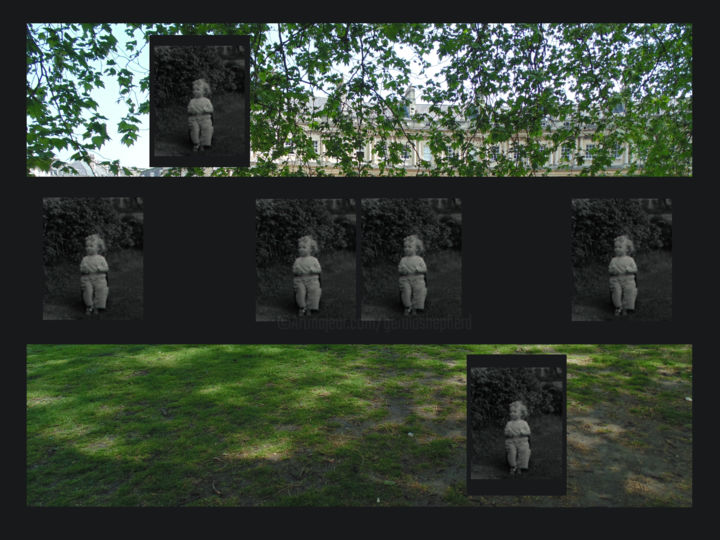Digital Arts titled "In The Shade" by Gerald Shepherd F.F.P.S., Original Artwork, Digital Painting