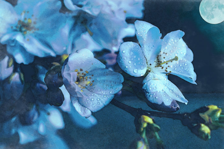 Moonlit Night In The Blooming Garden Digital Arts