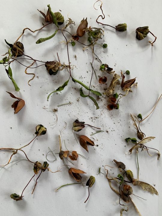 Photographie intitulée "just born and alrea…" par Paul Yves Poumay, Œuvre d'art originale