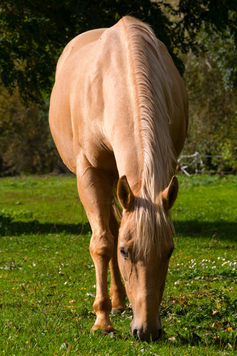 Photography titled "TOUCH." by Penny Thergesen, Original Artwork
