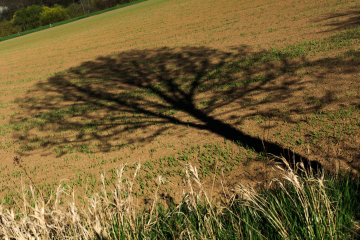 Photography titled "I`m...." by Penny Thergesen, Original Artwork