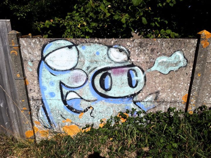 Photography titled "Wall Street Pig" by Turtle(At)Rt, Original Artwork