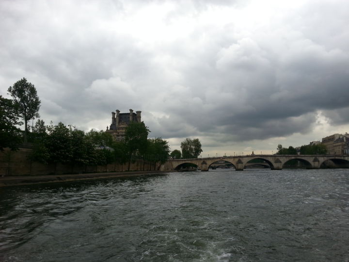 Photography titled "La Seine, Paris, Le…" by Smiljana Frankovic - Karaman, Original Artwork, Digital Photography