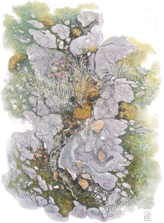 Peinture intitulée "Jardin japonais" par Dominique Gais, Œuvre d'art originale, Encre Monté sur Carton