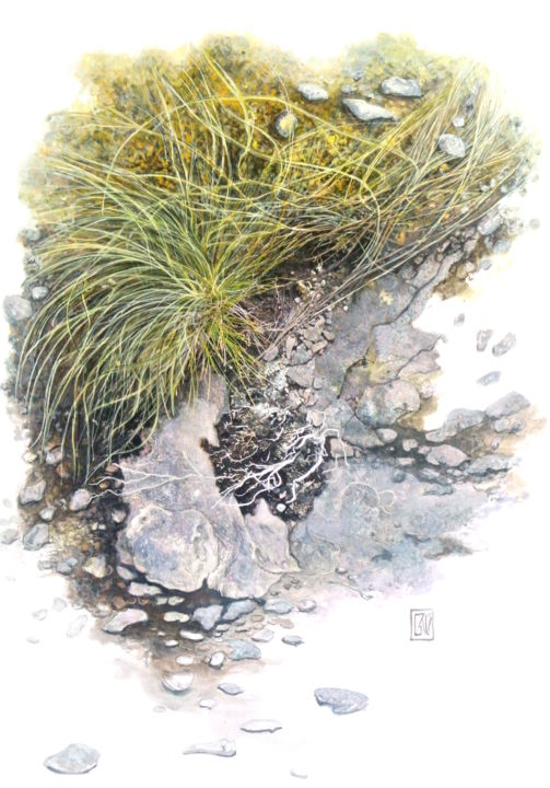 Peinture intitulée "Ébourifée" par Dominique Gais, Œuvre d'art originale, Encre Monté sur Carton