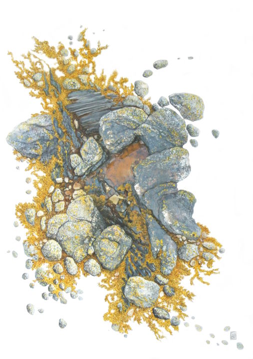 Peinture intitulée "Algue d'or" par Dominique Gais, Œuvre d'art originale, Encre Monté sur Carton