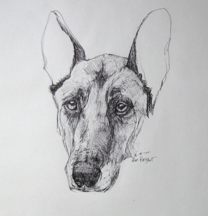 Drawing titled "Murphy2016" by Em Bryant, Original Artwork