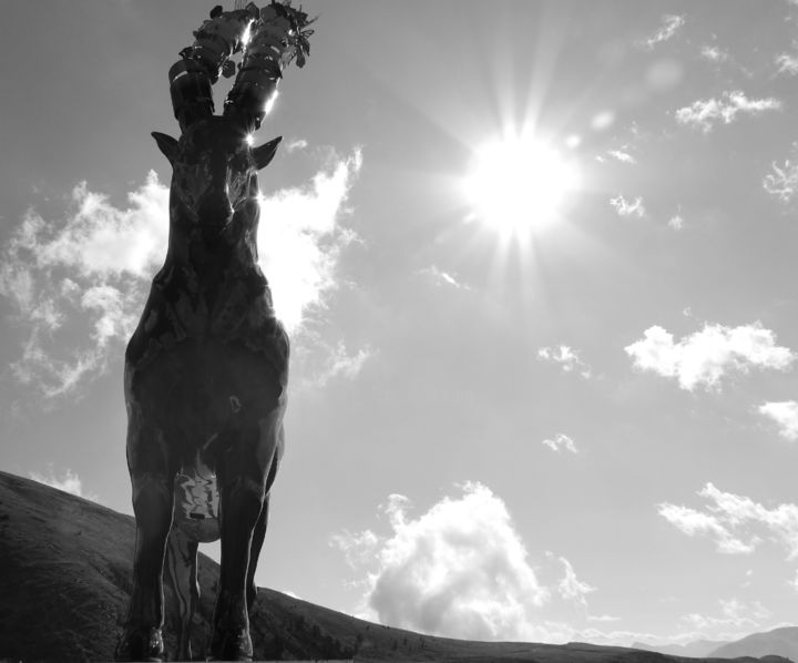 Photography titled "Chamoix" by Delphine Fabregat, Original Artwork, Digital Photography